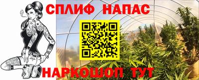 марихуана Малгобек