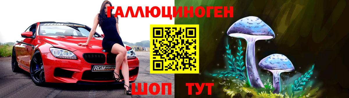 Хасавюрт  Псилоцибиновые грибы ЛСД  Вход с VPN  Псилоцибиновые грибы прущие грибы 